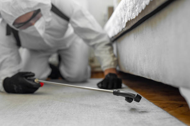 Professional Bed Bug Control technician working in Slaughter, LA